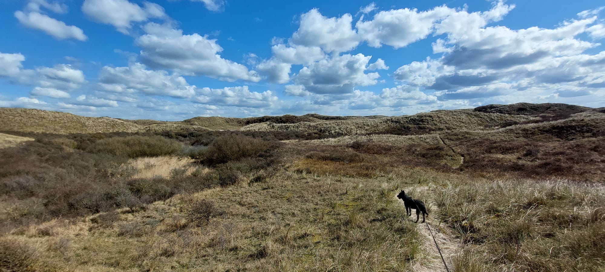 Duinen 1