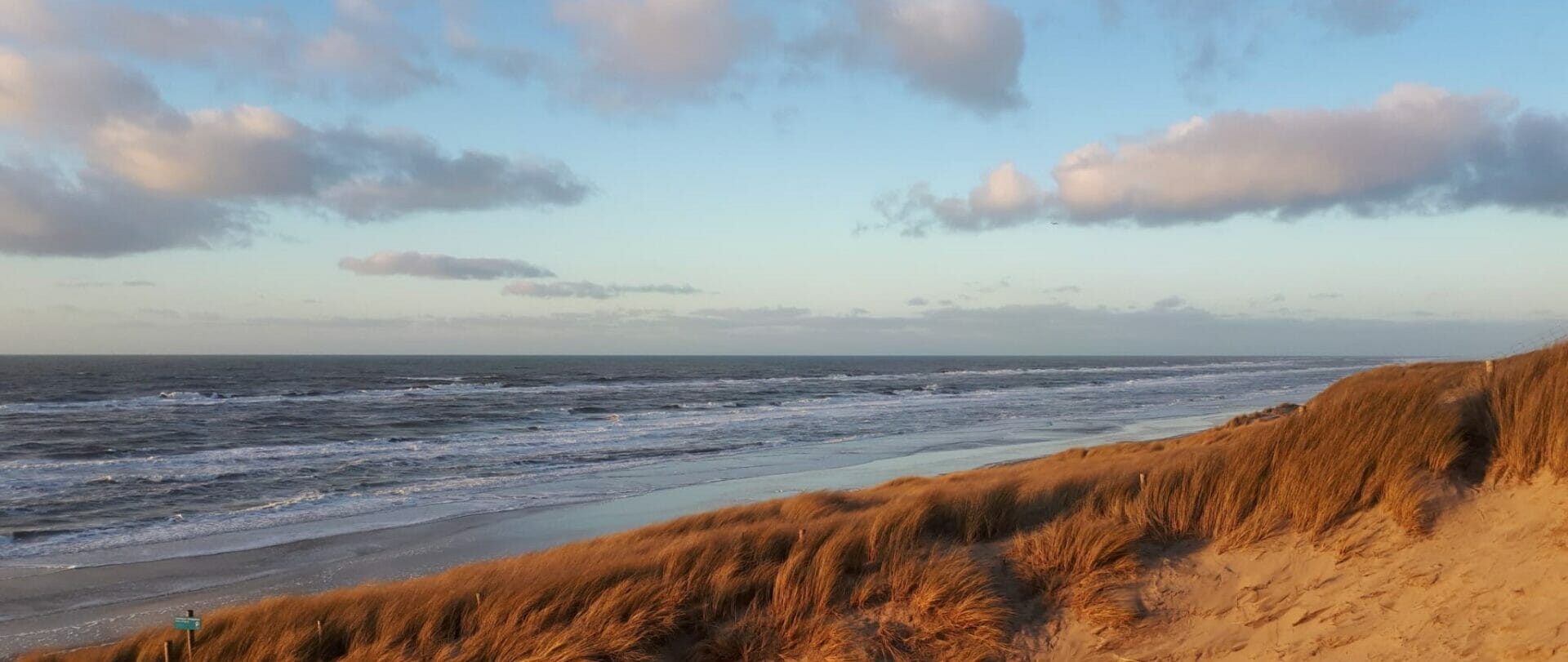 Strand 2